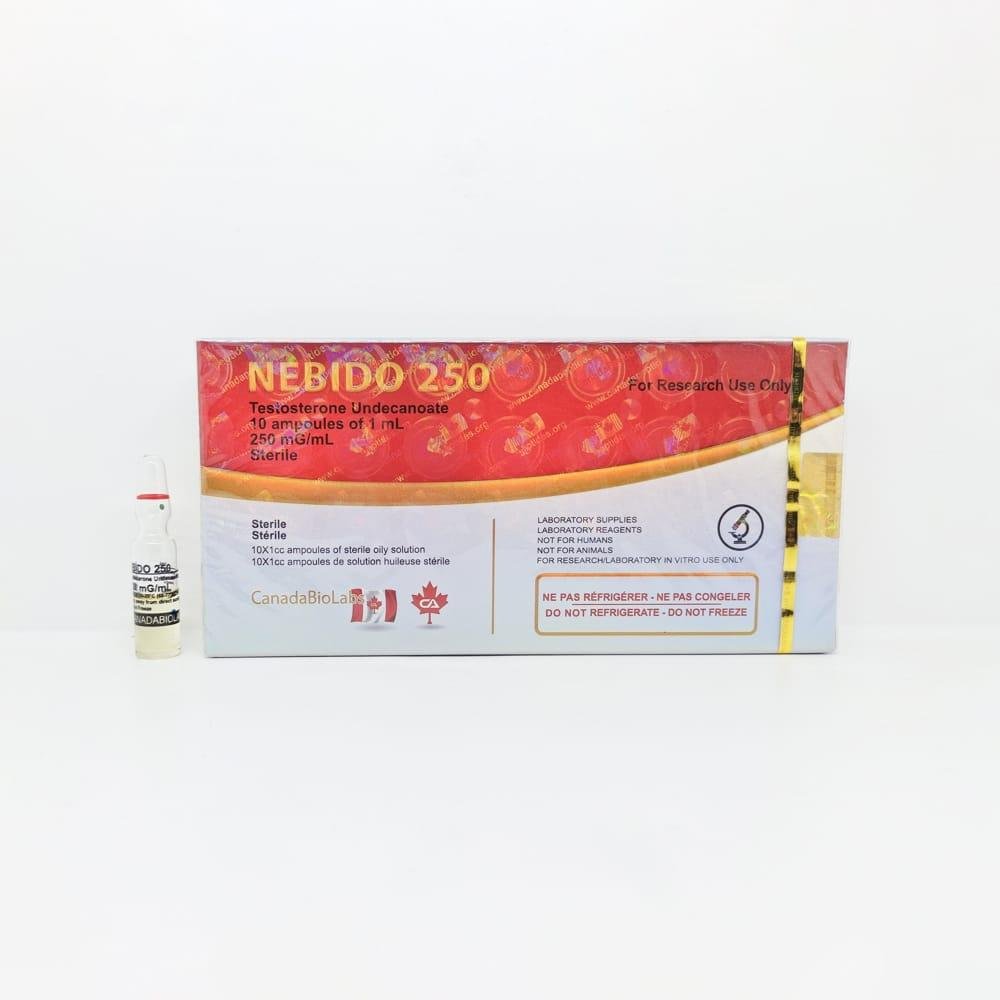 NEBIDO 250 (Test U) 1ml CanadaBioLabs ampoule, representing a long-acting anabolic steroid used for testosterone replacement therapy and sustained muscle mass and strength gains.