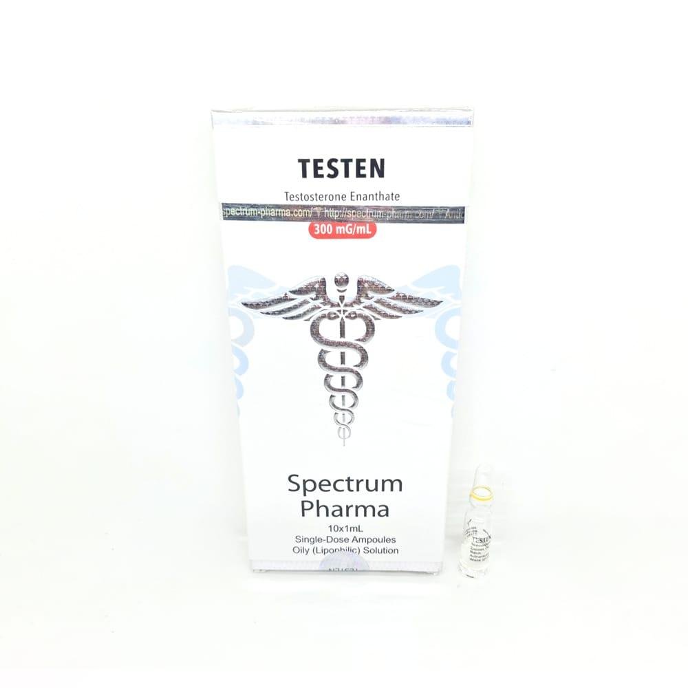 TESTEN 250mg/ml 1ml Spectrum Pharma ampoule, representing a long-acting anabolic steroid used for muscle mass gain, strength enhancement, and hormone replacement therapy.