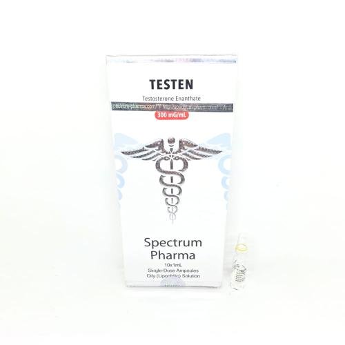 TESTEN 250mg/ml 1ml amp Spectrum Pharma